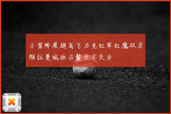 小蜜蜂展翅高飞力克红军红魔双杀维拉曼城独占鳌头不失分