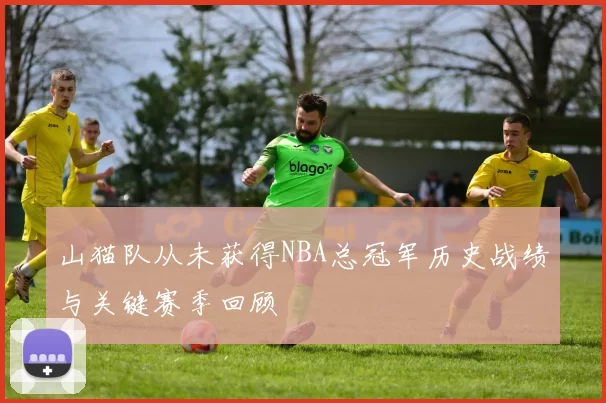 山猫队从未获得NBA总冠军历史战绩与关键赛季回顾