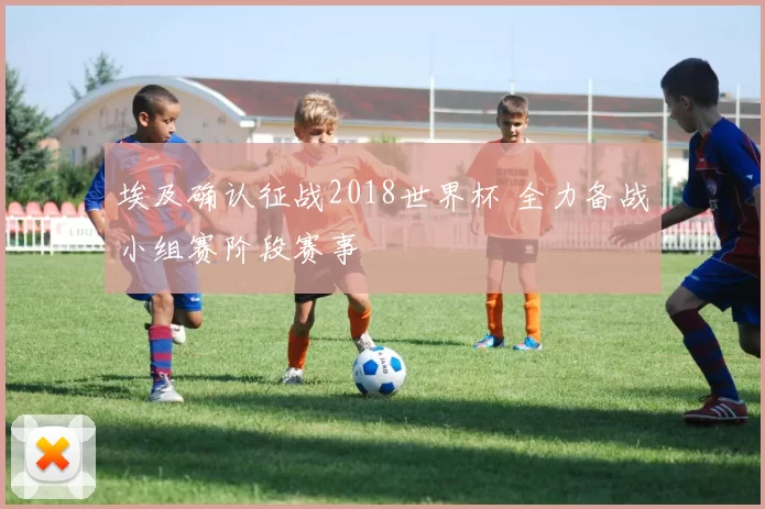 埃及确认征战2018世界杯 全力备战小组赛阶段赛事