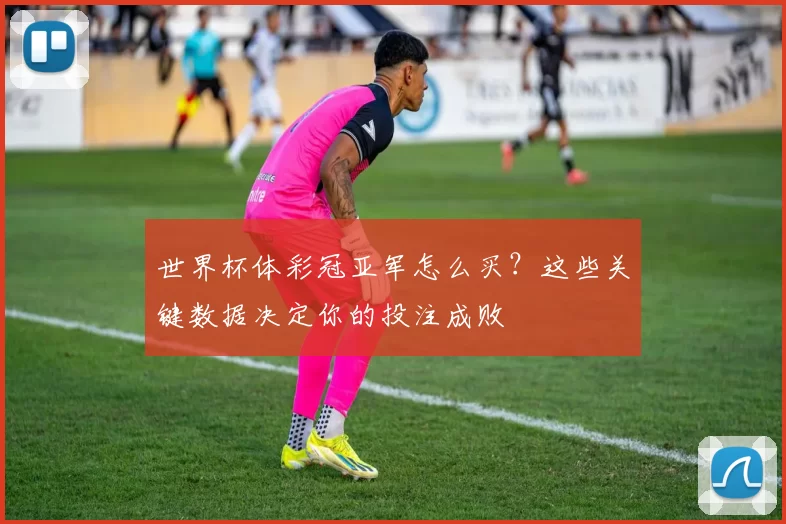 世界杯体彩冠亚军怎么买？这些关键数据决定你的投注成败