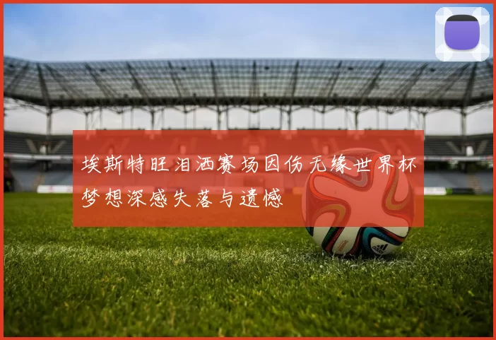 埃斯特旺泪洒赛场因伤无缘世界杯梦想深感失落与遗憾