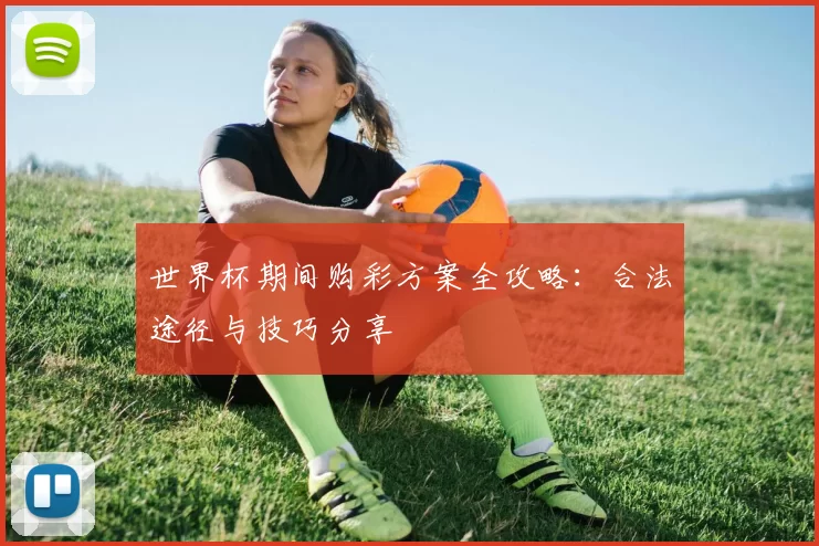 世界杯期间购彩方案全攻略:合法途径与技巧分享