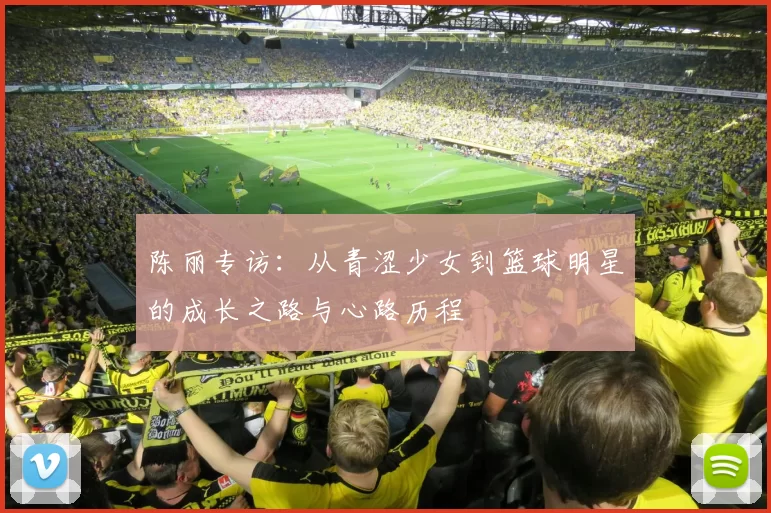 陈丽专访：从青涩少女到篮球明星的成长之路与心路历程