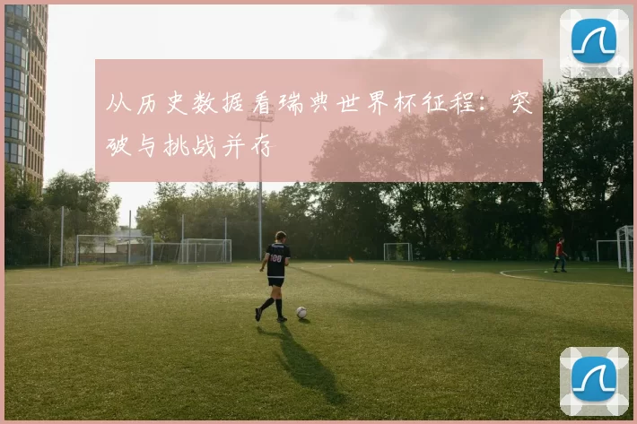 从历史数据看瑞典世界杯征程：突破与挑战并存