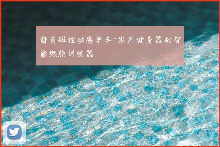 静音磁控动感单车-家用健身器材智能燃脂训练器