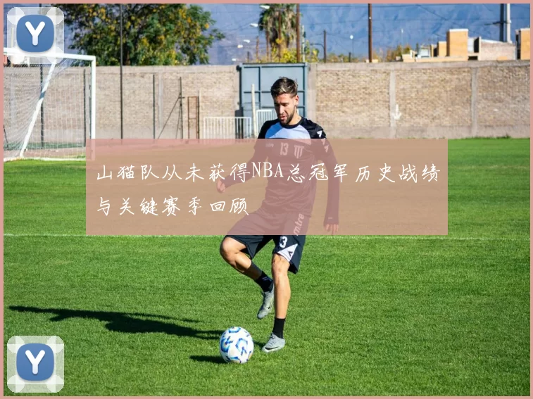 山猫队从未获得NBA总冠军历史战绩与关键赛季回顾