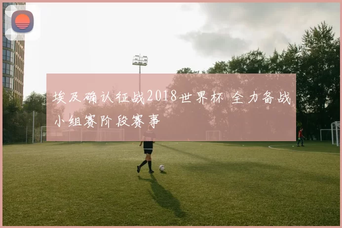 埃及确认征战2018世界杯 全力备战小组赛阶段赛事