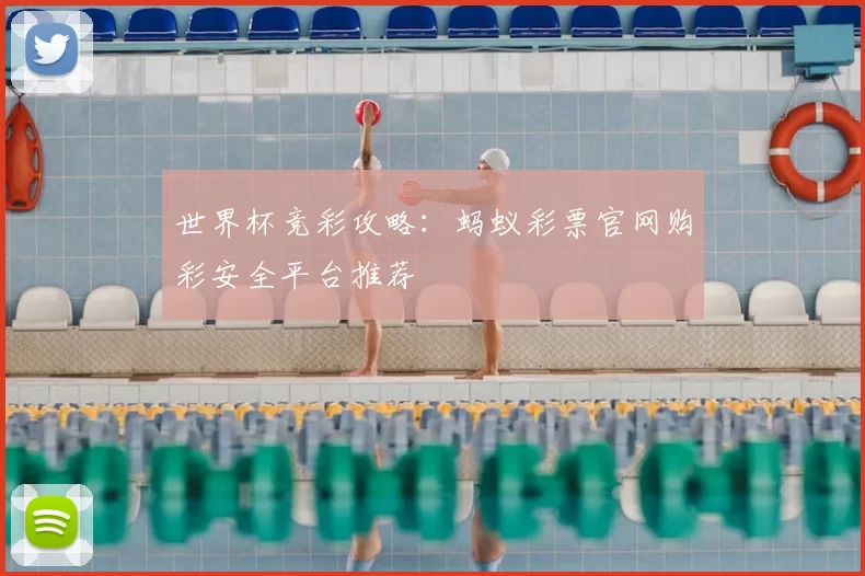 世界杯竞彩攻略：蚂蚁彩票官网购彩安全平台推荐