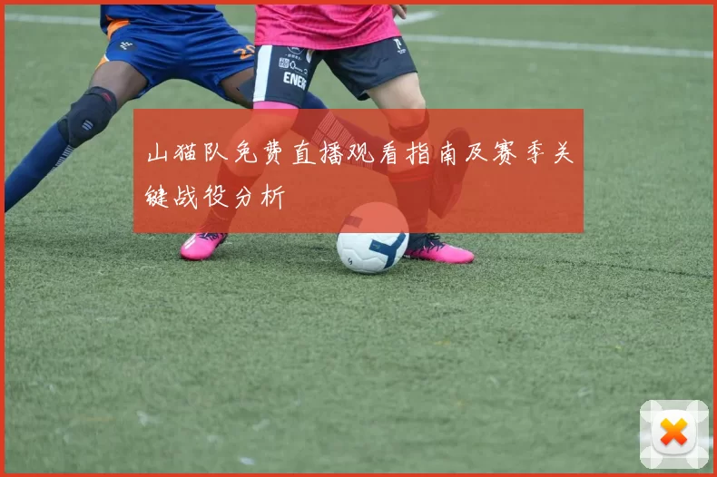 山猫队免费直播观看指南及赛季关键战役分析