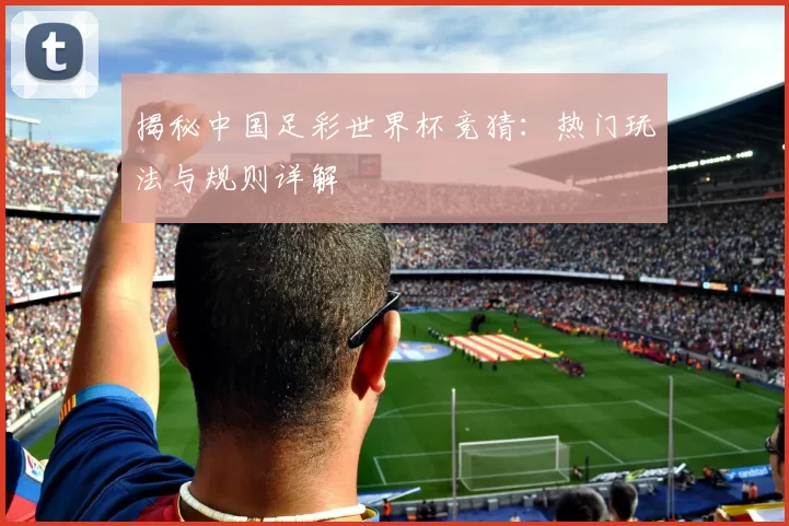 揭秘中国足彩世界杯竞猜：热门玩法与规则详解