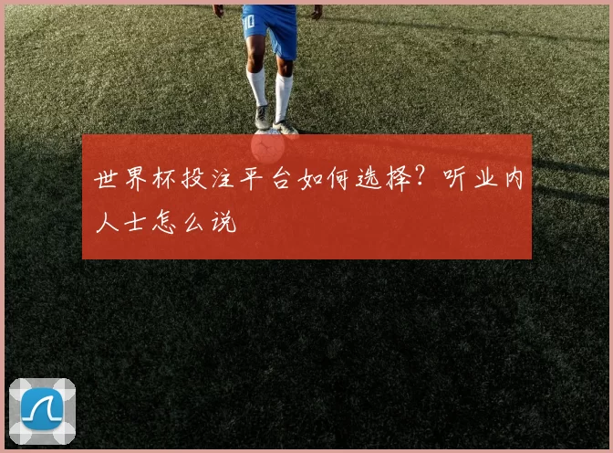 世界杯投注平台如何选择？听业内人士怎么说