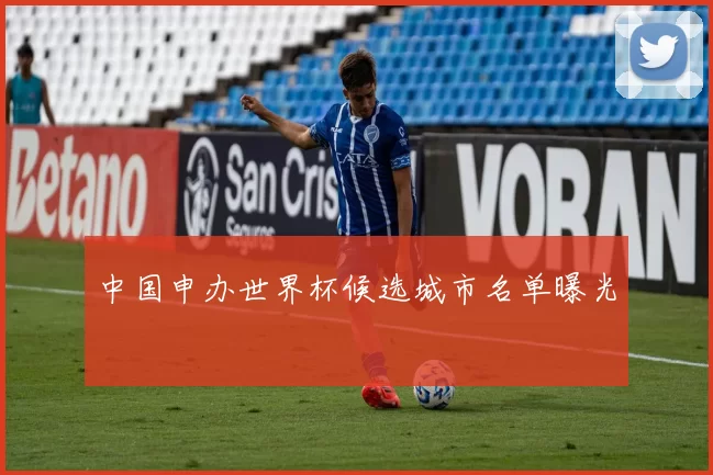 中国申办世界杯候选城市名单曝光