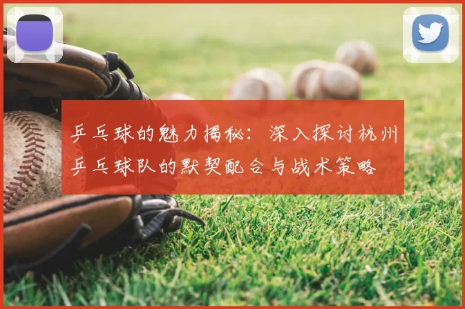 乒乓球的魅力揭秘：深入探讨杭州乒乓球队的默契配合与战术策略
