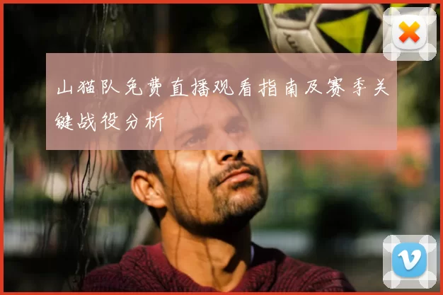 山猫队免费直播观看指南及赛季关键战役分析
