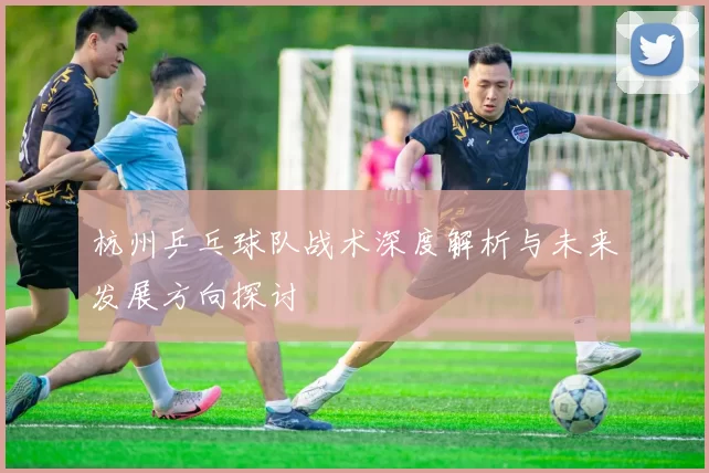 杭州乒乓球队战术深度解析与未来发展方向探讨