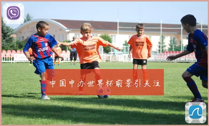 中国申办世界杯前景引关注