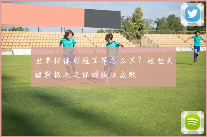 世界杯体彩冠亚军怎么买？这些关键数据决定你的投注成败