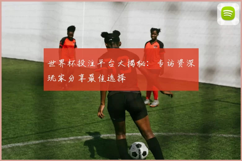 世界杯投注平台大揭秘：专访资深玩家分享最佳选择