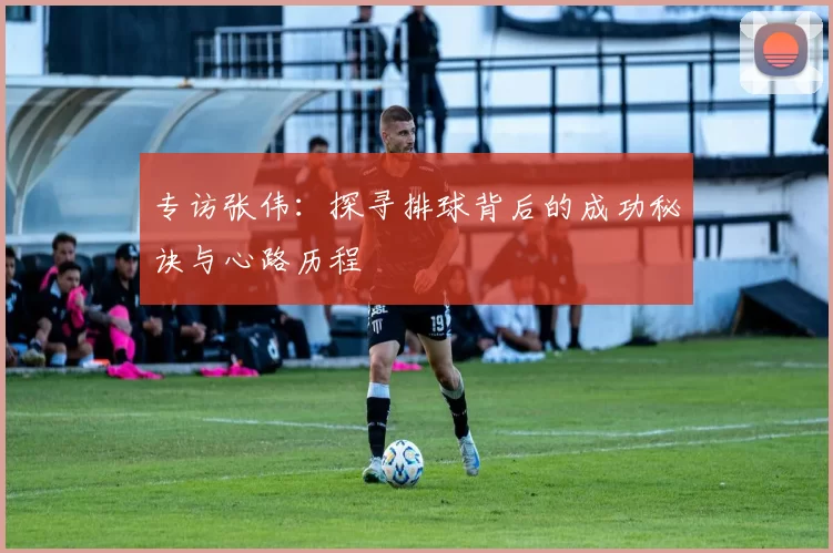 专访张伟：探寻排球背后的成功秘诀与心路历程