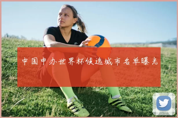 中国申办世界杯候选城市名单曝光