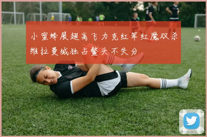 小蜜蜂展翅高飞力克红军红魔双杀维拉曼城独占鳌头不失分