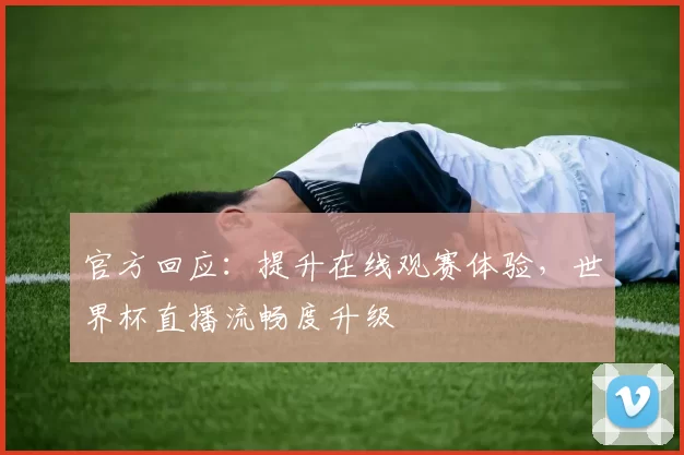 官方回应:提升在线观赛体验,世界杯直播流畅度升级