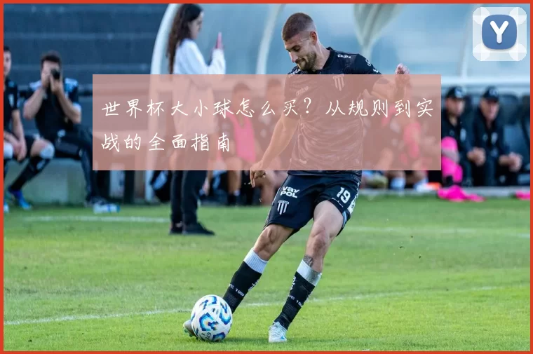 世界杯大小球怎么买？从规则到实战的全面指南